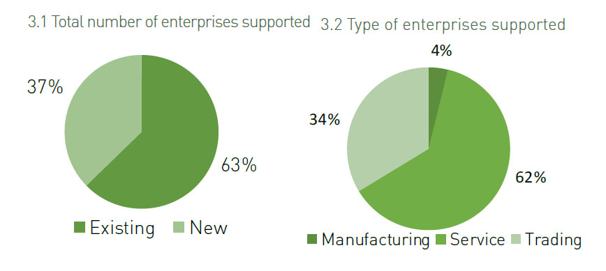 Bihar SVEP enterprises 1