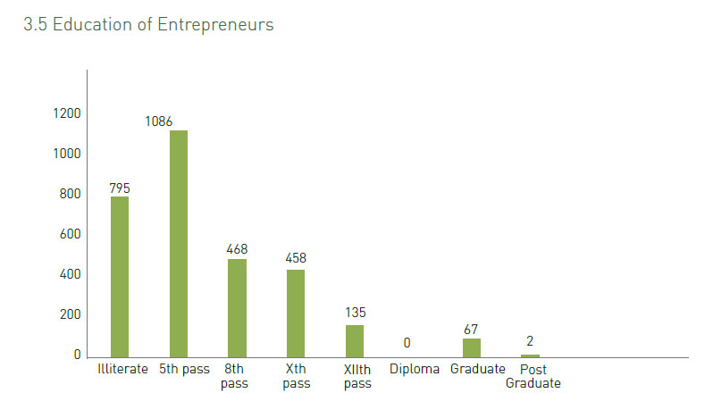 Bihar SVEP enterprises 3