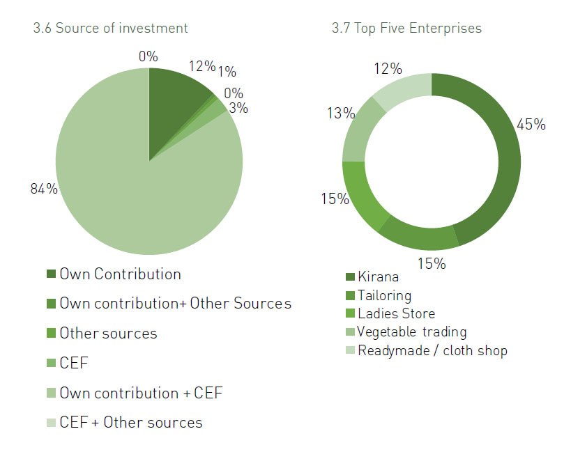 Bihar SVEP enterprises 4