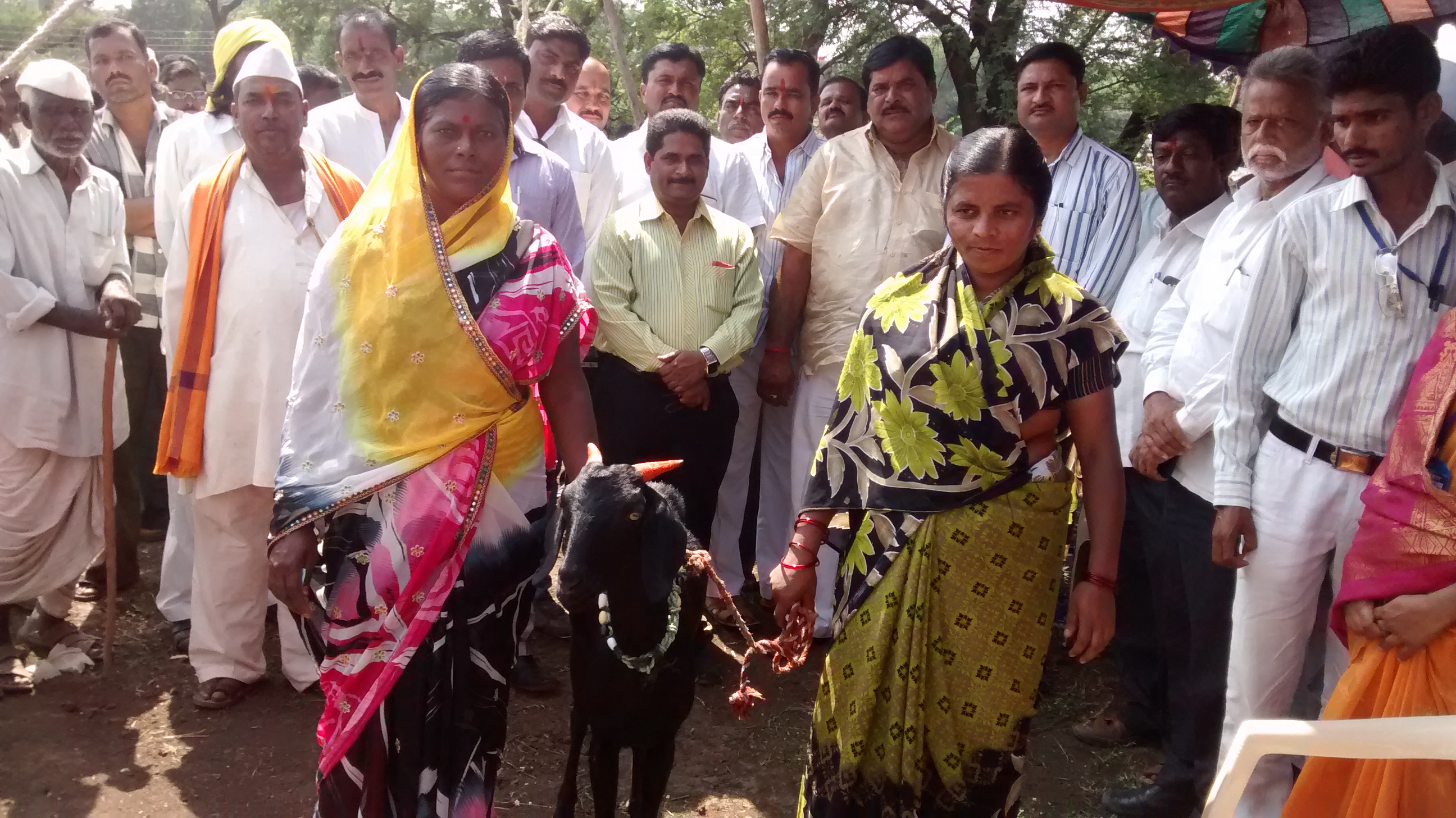 Goat market in Maharashtra