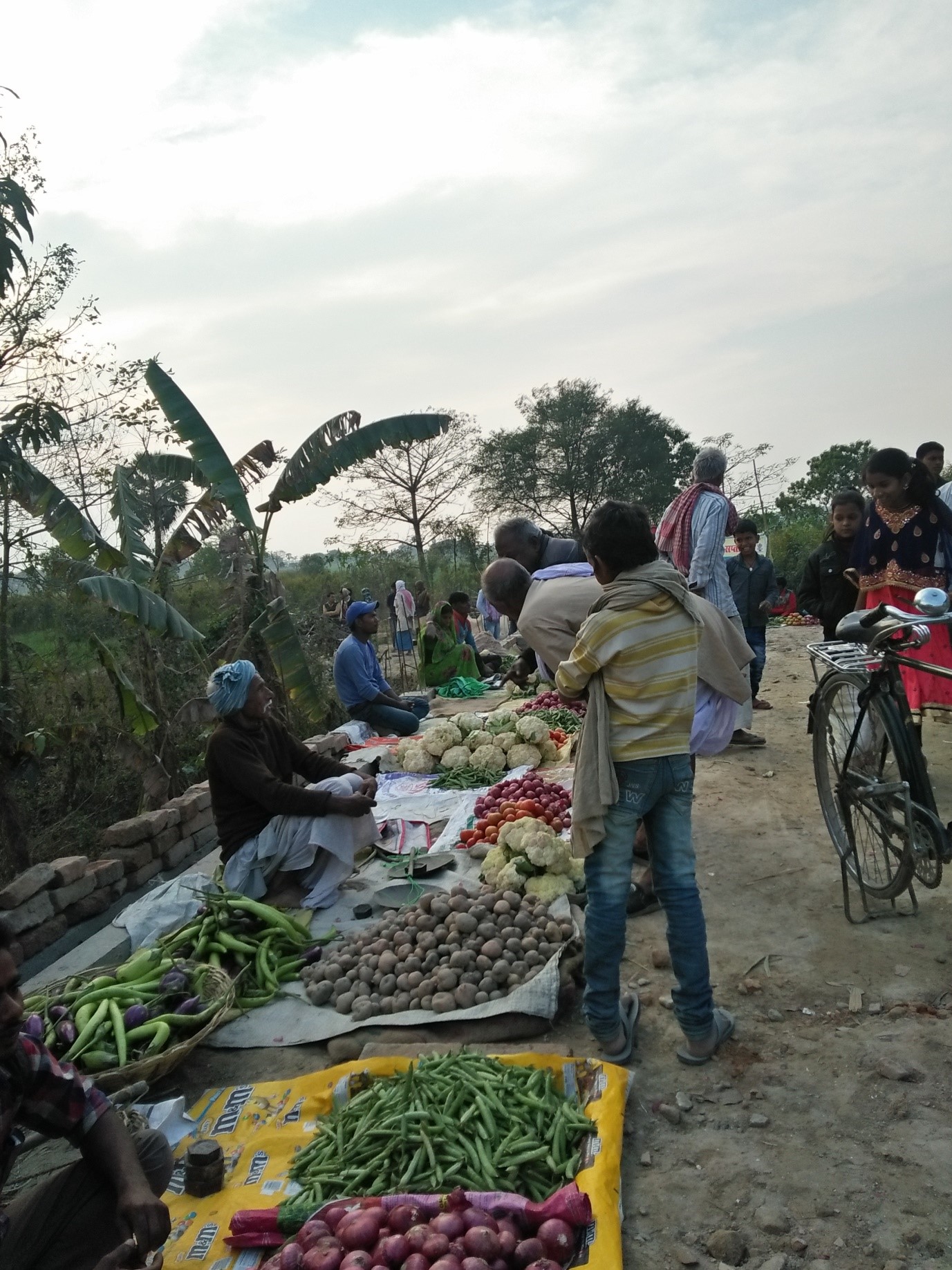 Jandaha market 5