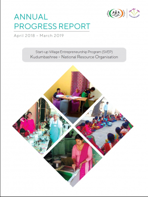 SVEP Annual Progress Report, 2018-19