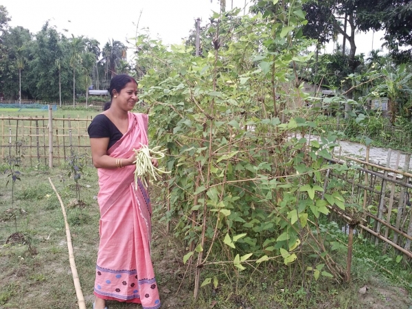 Kitchen Garden- An Initiative towards Organic Livelihood